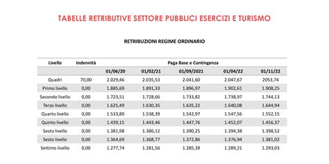 Tabelle retributive CCNL Pulizie Multiservizi 2024。